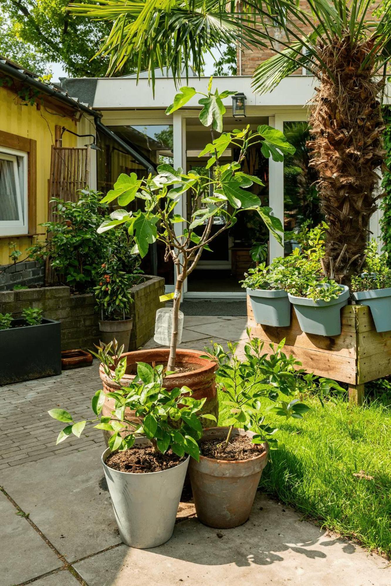 Cozy House - Fietsverhuur, Eigen Keuken En Badkamer Неймеген Екстер'єр фото