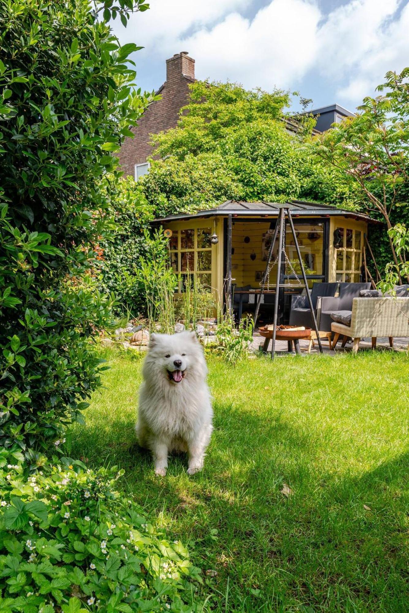 Cozy House - Fietsverhuur, Eigen Keuken En Badkamer Неймеген Екстер'єр фото